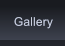 Gallery Gallery